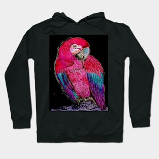 BRIGHT PINK TROPICAL PARROT MACAW DECO POSTER DRAWING PRINT ART Hoodie